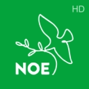 NOE