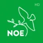 NOE