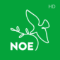 noe